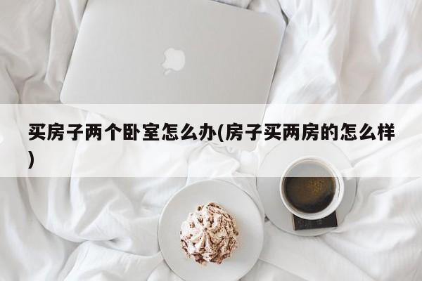 买房子两个卧室怎么办(房子买两房的怎么样)