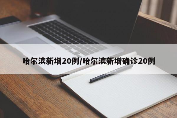 哈尔滨新增20例/哈尔滨新增确诊20例