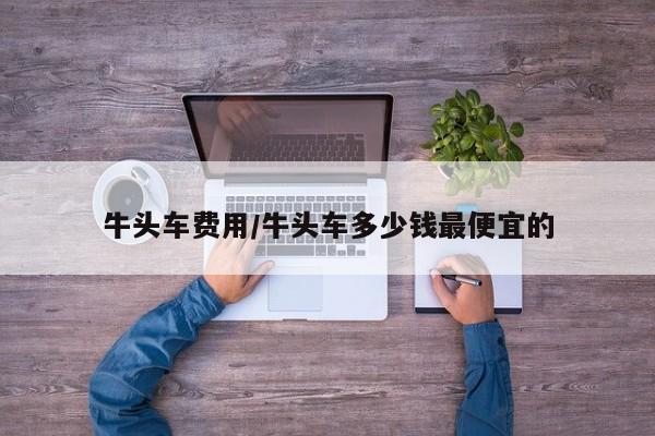 牛头车费用/牛头车多少钱最便宜的