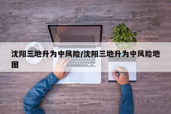 沈阳三地升为中风险/沈阳三地升为中风险地图