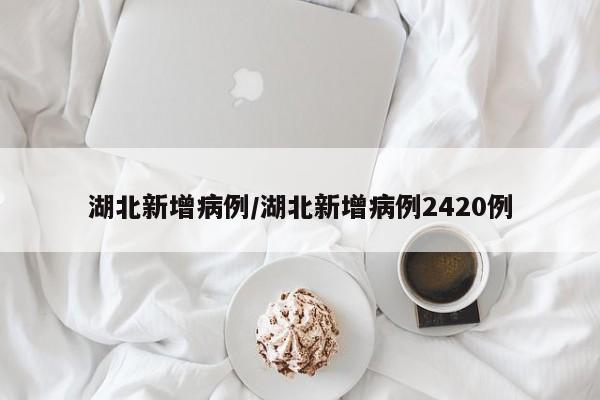 湖北新增病例/湖北新增病例2420例