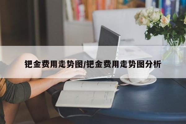钯金费用走势图/钯金费用走势图分析