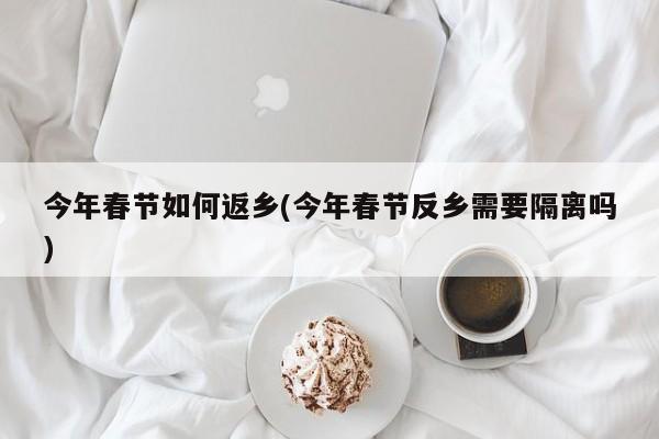 今年春节如何返乡(今年春节反乡需要隔离吗)