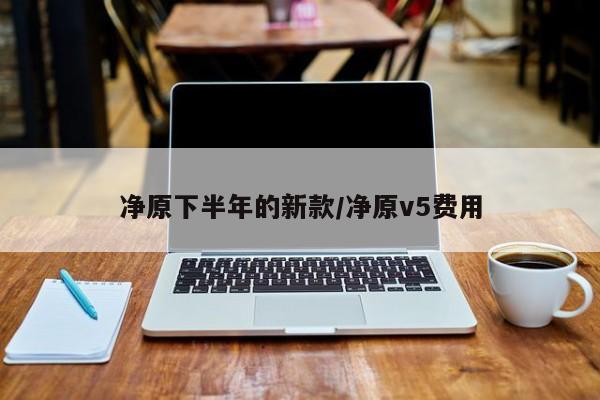 净原下半年的新款/净原v5费用