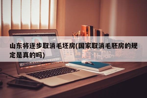 山东将逐步取消毛坯房(国家取消毛胚房的规定是真的吗)