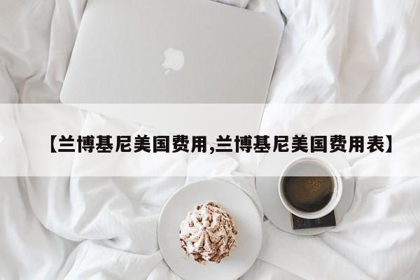 【兰博基尼美国费用,兰博基尼美国费用表】