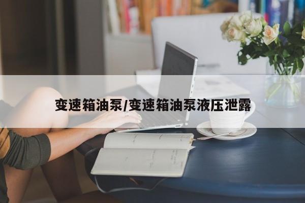 变速箱油泵/变速箱油泵液压泄露
